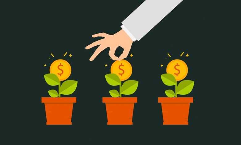 money, grow, gain