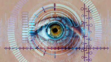 eye, iris, biometrics