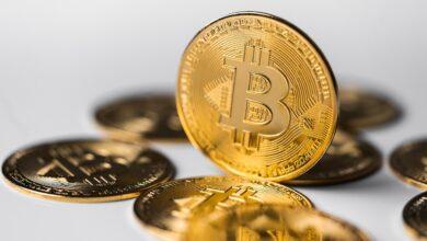 bitcoin, cryptocurrency, digital, currency, money, technology, network, transaction, crypto, asset, bitcoin, bitcoin, bitcoin, bitcoin, bitcoin, cryptocurrency, cryptocurrency, crypto, crypto, crypto, crypto