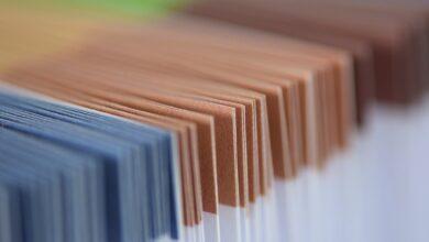 folder, briefcase, brown, blue, paper, multicoloured, a book, leaves, organs, green, nature, macro, subjects, close up, reference book, handcraft, colorful, folder, folder, folder, folder, folder