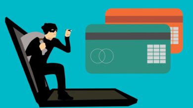 hack, fraud, card, code, computer, credit, crime, cyber, data, hacker, identity, information, internet, password, phishing, pile, privacy, protection, safety, secure, spy, steal, technology, thief, fraud, fraud, fraud, fraud, fraud, hacker, hacker, phishing, phishing, phishing, phishing, thief