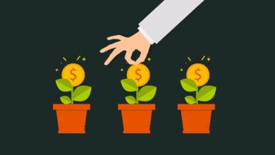 money, grow, gain, finance, income, plant, accounting, bank, benefit, business, cash, coin, collect, concept, earnings, economic, economy, exchange, financial, fund, invest, nature, management, market, payment, profit, income, income, income, income, income, accounting, accounting, benefit, benefit, benefit, benefit, economic, fund, invest, invest, invest, profit