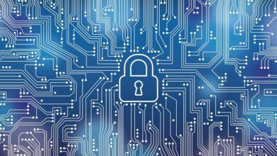 computer, circuit board, cpu, security, digital, technology, data, printed circuit board, information, web, chip, data exchange, network, protection, padlock, locked, security, security, security, security, security