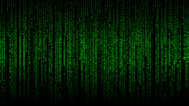 matrix, green, code, programming, crypto, movie, cinema, shades, hacker, security, internet, technology, office, job, networks, connection, closeness, colour, art, html, web, software, computer, future, matrix, matrix, matrix, matrix, matrix, crypto, hacker