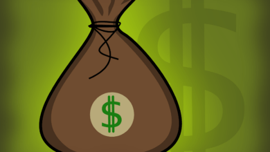 money, dollars, bag, bag of money, green, brown, money, money, money, money, money