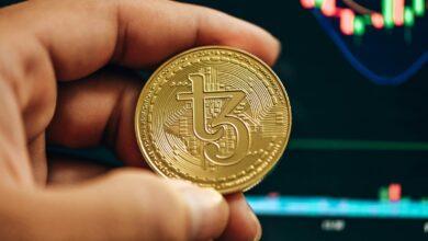 a hand holding a gold bitcoin in front of a stock chart