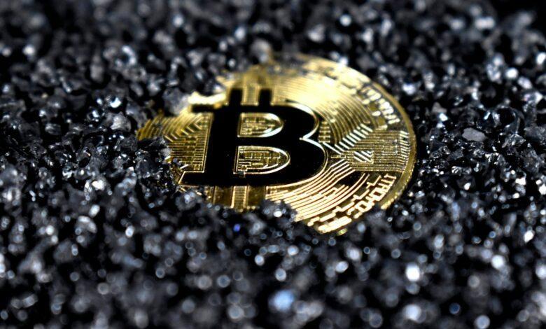 gold and black round emblem