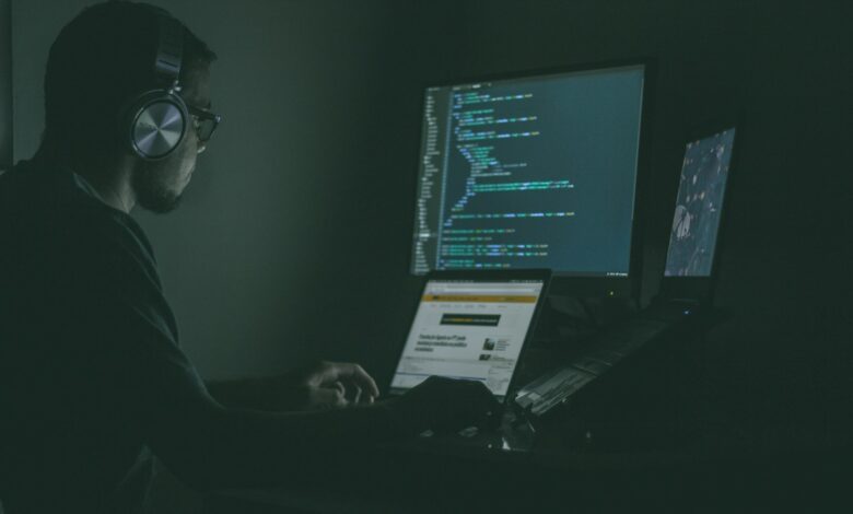 person using laptop computers