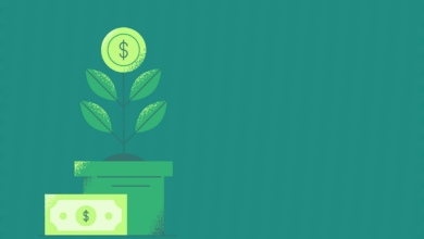 growth, money, wealth, savings, investment, finance, money, money, money, money, money, wealth, wealth, investment