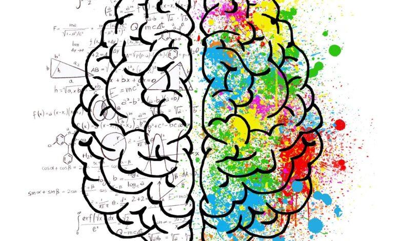 brain, mind, psychology, idea, drawing, split personality, thought, chaos, doubt, open mind, gray matter, insecurity, anxiety, ideas, comparison, fantasy, creativity, head, thoughts, concentration, creativeness, color, mathematics, logic, calculation, brain, brain, brain, brain, brain, mind
