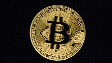 bitcoin, blockchain, currency, cryptocurrency, money, finance, technology, business, gold, financial, exchange, digital, coin, crypto, virtual, cash, payment, the internet, cryptography, electronic, investments, bitcoin, bitcoin, crypto, crypto, crypto, crypto, crypto