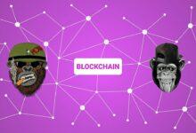 blockchain, crypto, ape, nft, non-fungible token, cryptocurrency, virtual, non fungible token, network, digital, concept