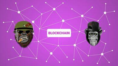 blockchain, crypto, ape, nft, non-fungible token, cryptocurrency, virtual, non fungible token, network, digital, concept
