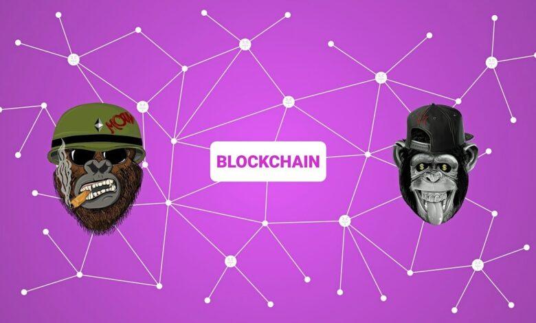 blockchain, crypto, ape, nft, non-fungible token, cryptocurrency, virtual, non fungible token, network, digital, concept
