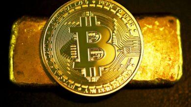 a bitcoin sitting on top of a gold bar